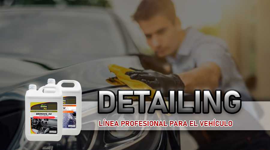 Detailing Gama Profesional