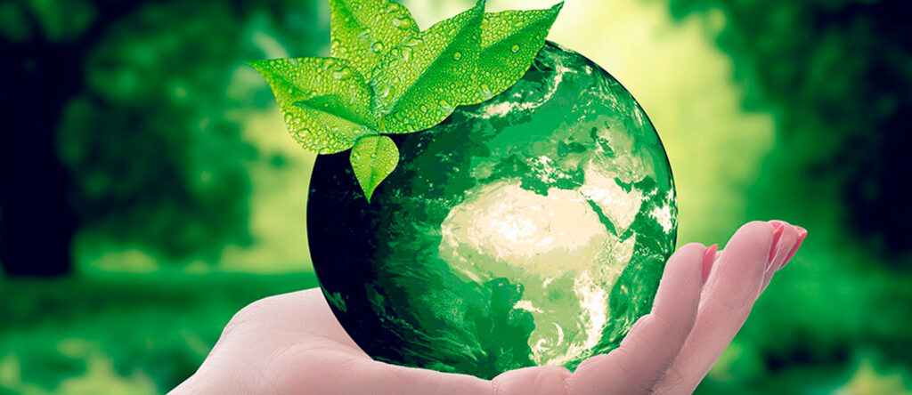 Ecosystemcar - Pioneros en el detailing ecologico con certificado de maxima calidad